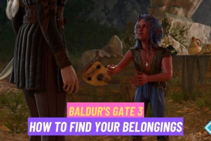 Baldur's Gate 3 Find Your Belongings