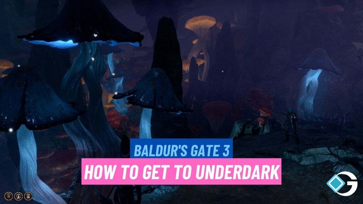 Baldur's Gate 3 How to get to underdark