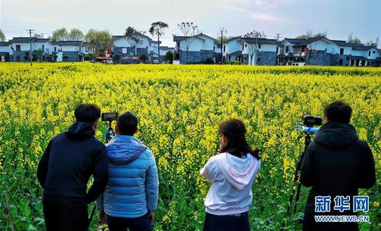 �������������B(t��i)����1���Ĵ����ԡ�������ý ���F�l(xi��ng)�����d