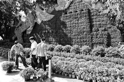 �찲�T�V�����_ʼ�[��