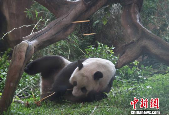 �D�顰�����������似��(c��)�L������������ �z