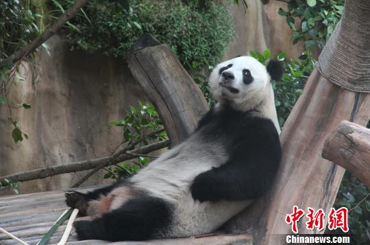 �D�顰���������ژ�����u������������ �z