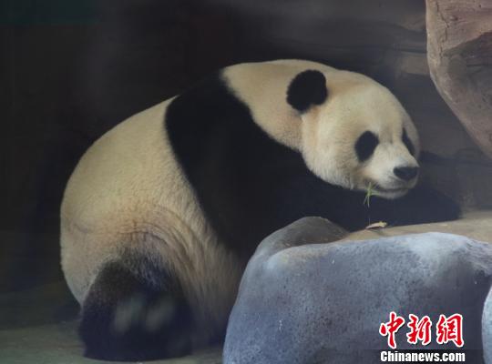 �D�顰���ա��ڴ��˯���������� �z