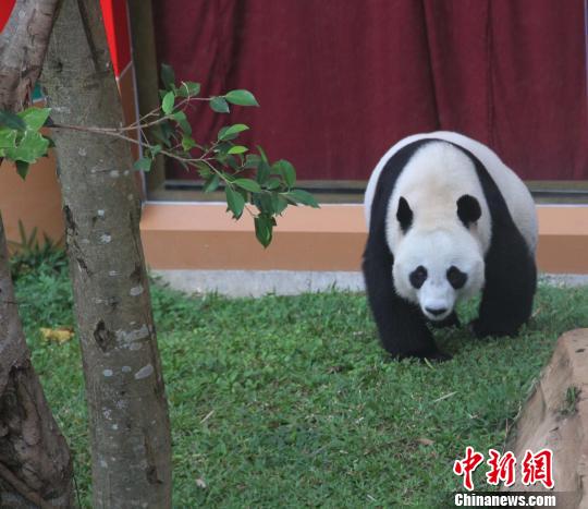 �D�顰������������ɢ������������ �z