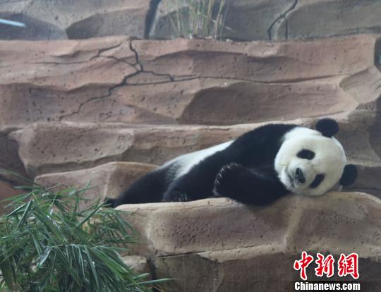 �D�鄂��ġ����ա����u������������ �z