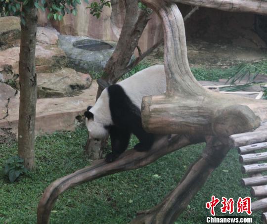 �D�顰�������ߡ���ľ�򡱡��������� �z