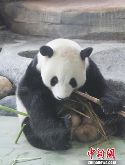 �D�顰���ա��ڳ��������������� �z