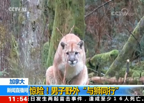 ���ô��@�U(xi��n)������Ұ�⡰�c�{ͬ�С�