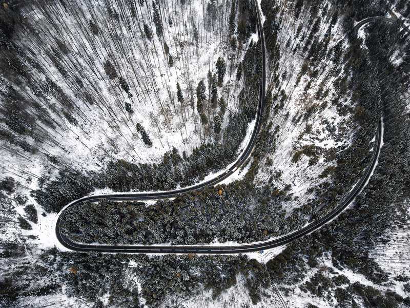 �_�R�၆�zӰ��Nicu Spinu�z�ښW�޲��ƾS�{��