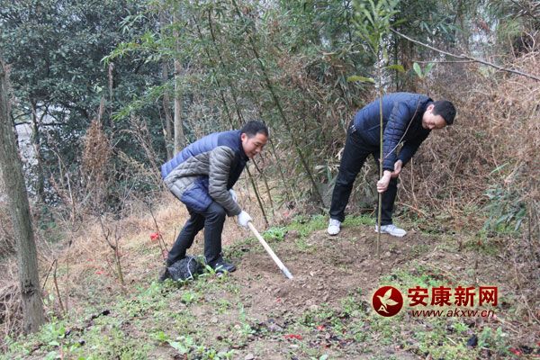 311գ޿hֱCP300˅xֲֲ˘1400áԓhӋG6.2fд