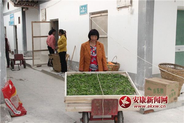 �Q�r(n��ng)���������簴Ʊ�I(l��ng)ȡ�Q�N����С�Q������ρ�Qٝ���^�� (2).jpg