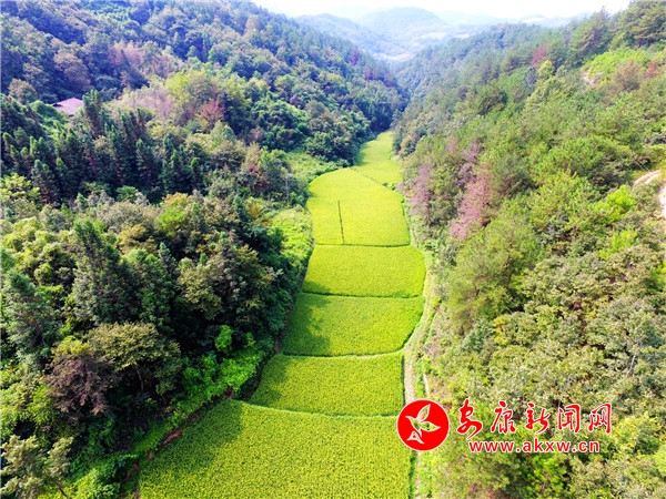 2.��(j��)�˽����@��ĵ��Ȍ�����ˮ�����ǵ��ȵ�һ�N��ֻ�������ܵ���?xi��ng)l�����ƺ�Ӱ������ڹ�ȵ����ˮ��ȫȡ����ɽ�֏�����ˮ�|(zh��)��