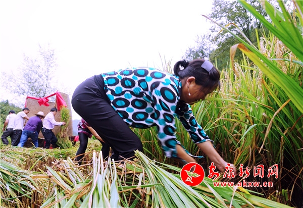 6.�ڬF(xi��n)��(ch��ng)��ֻҊ(ji��n)10��λ�������ֳ��������ץ���������䣬һ�����������������R�Ĕ[����������&ldquo;�����&rdquo;Ҋ(ji��n)�p��ᘣ��������