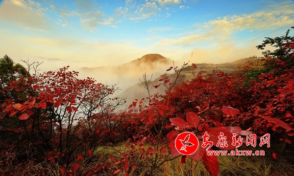 李亞-白河紅葉5.jpg