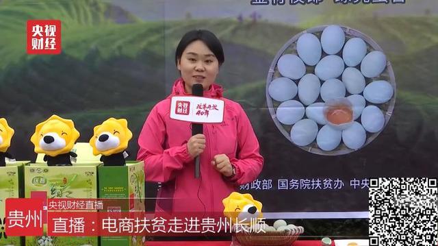 全渠道助銷農(nóng)產(chǎn)品超60億 蘇寧榮獲2018電商公益先鋒獎(jiǎng)