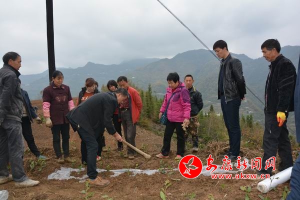 �{(di��o)����С DSC_7395.JPG