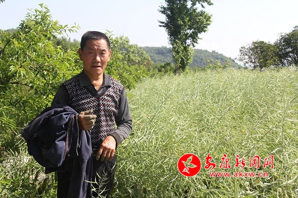 67qďFeͲfȥµ600߀uԼ̓̤