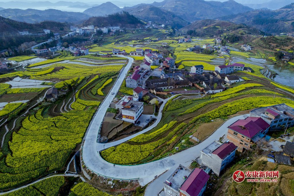 PߴɫzӰƤ¾SԒ(hu)h13325355508Ĕzʡhꎿhu(zhn)P߹ - .JPG