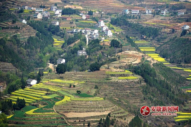 D2.̎(gu)(ni)ꑸ(d)߁ɽɽɽص6Nεòc(din)˷Ϣ@˂ò